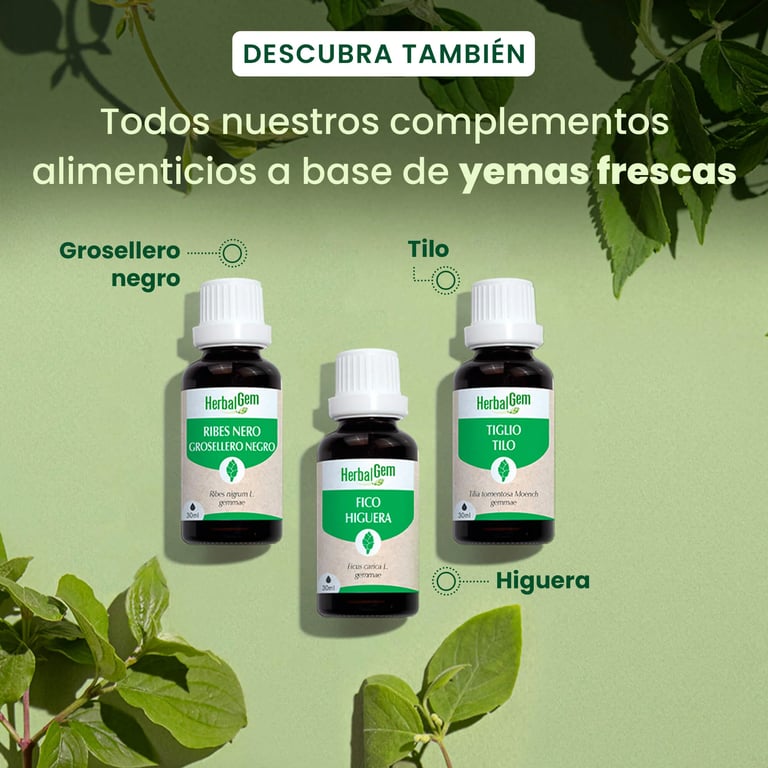 Ginkgo Bio Gotas - imagen 6 de 6