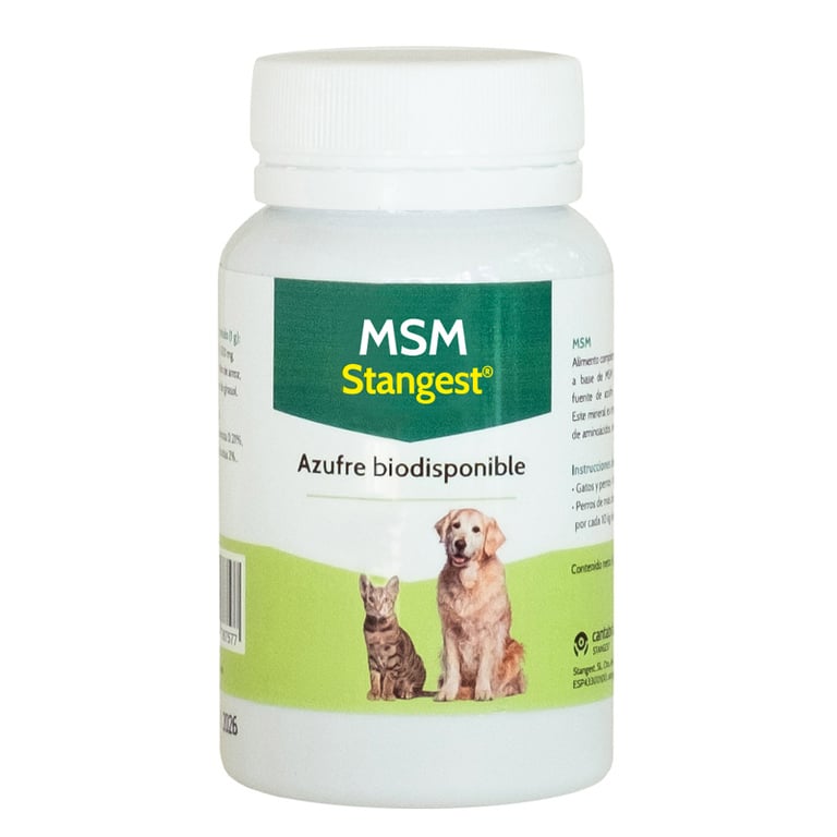 MSM