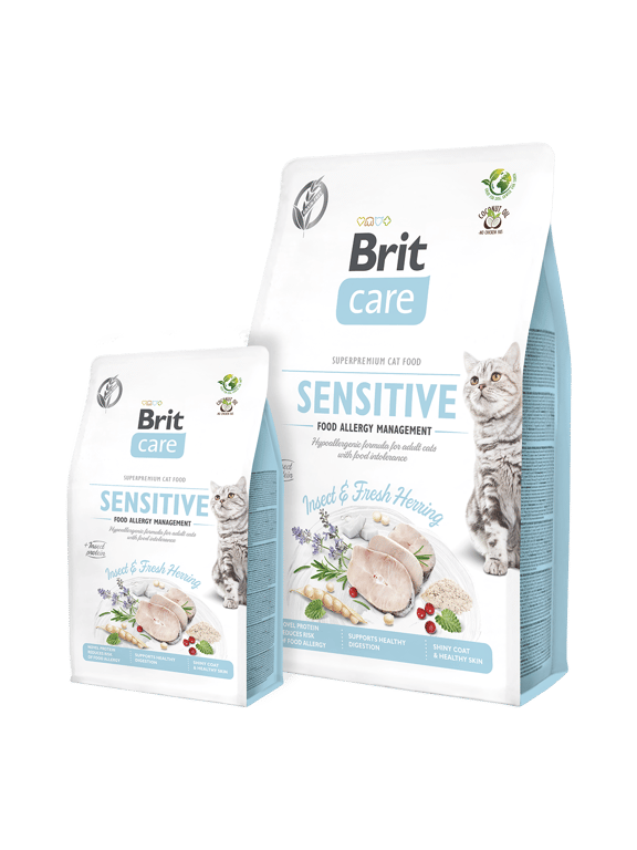 Veterinary Cat Sterilised - imagen 4 de 11