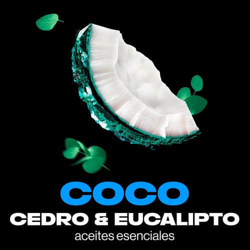 Pure Coconut Deodorant Spray 150 ml von Axe