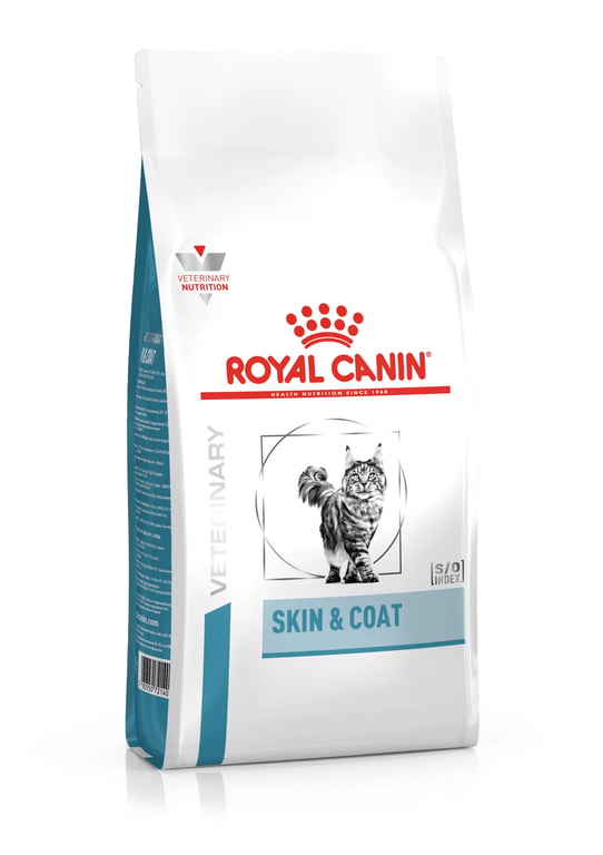 Veterinary Skin Care Chiens