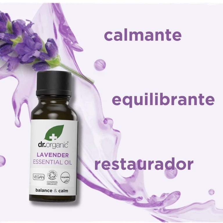 Bio-Lavendelöl 100% Rein - imagen 2 de 4