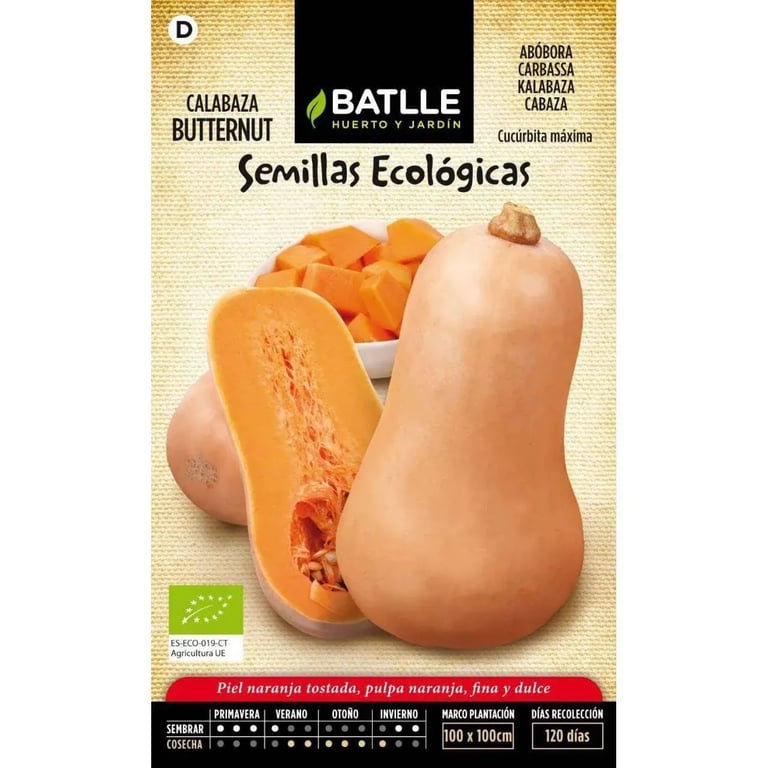 Semillas Calabaza Butternut Eco