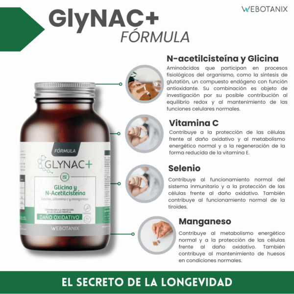 GlyNAC Formule - imagen 2 de 10