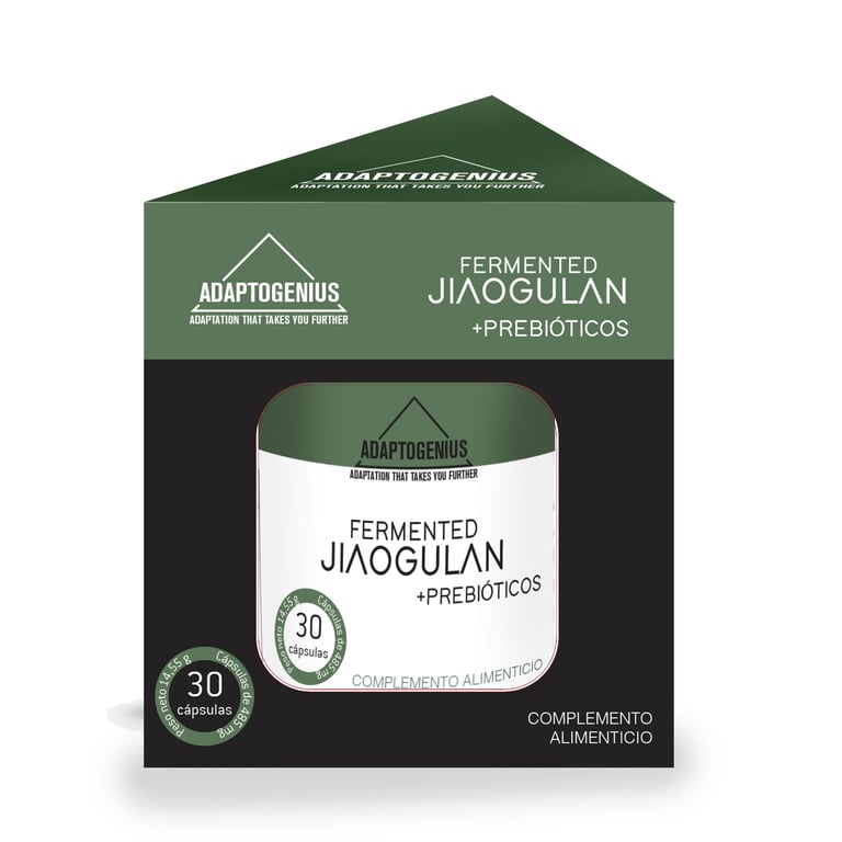 Jiaogulan Fermenté