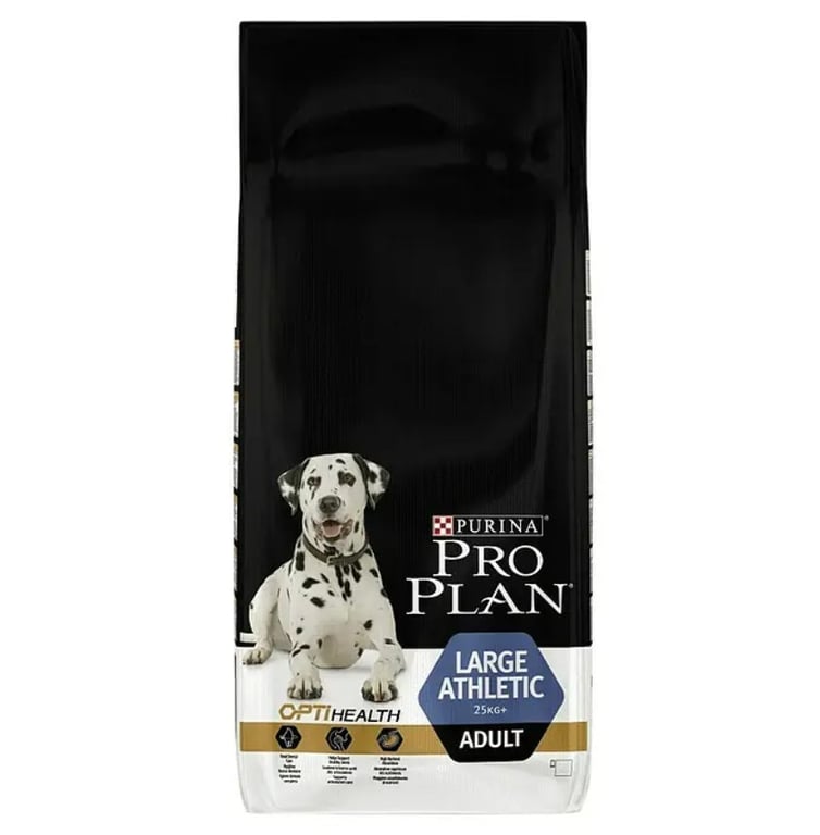 Chien Adulte Large Adult Athletic