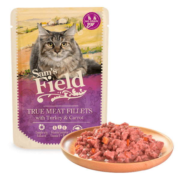 Turkey Fillets with Carrot Pouch