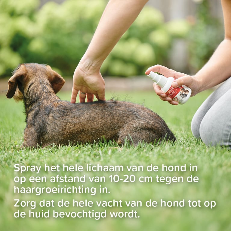 Fiprotec Spray Antiparasitaire - imagen 5 de 5