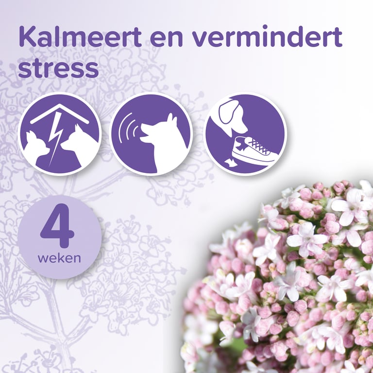 No Stress Hund Diffuser - imagen 3 de 5