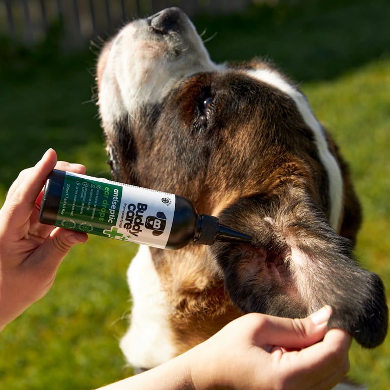 Detergente Orecchie Cani - imagen 15 de 15