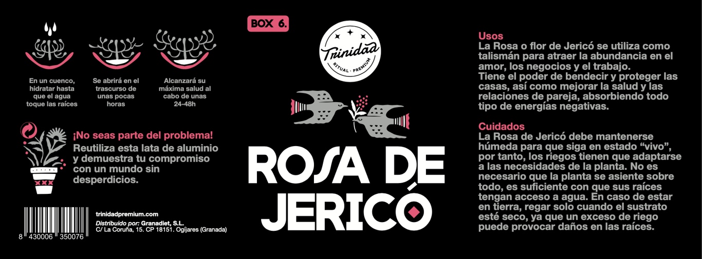 Jericho-Rose in Dose - imagen 5 de 5