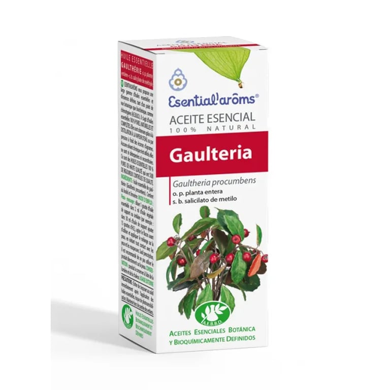 Esencia De Gaulteria