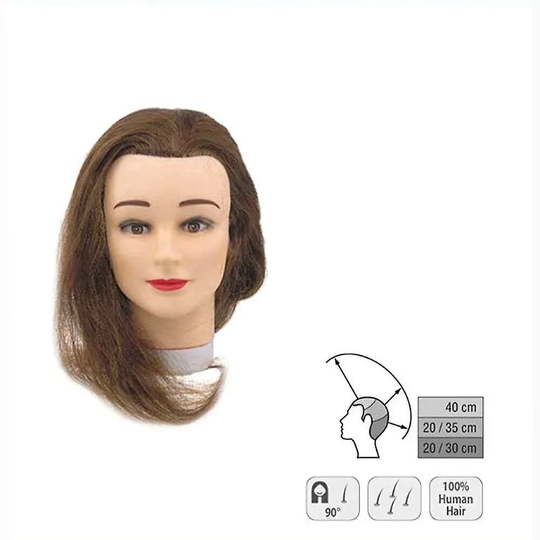 Tête d'apprentissage Student 35-40 cm