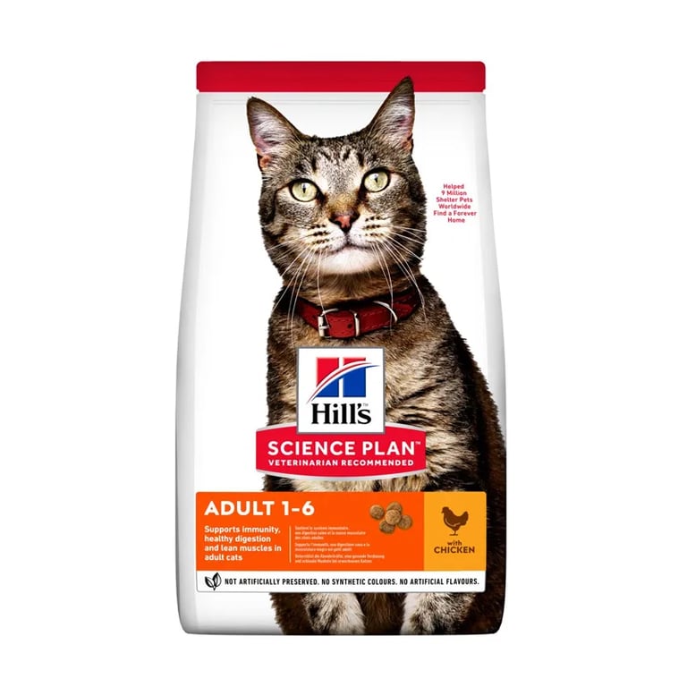 Gato Adult Pollo