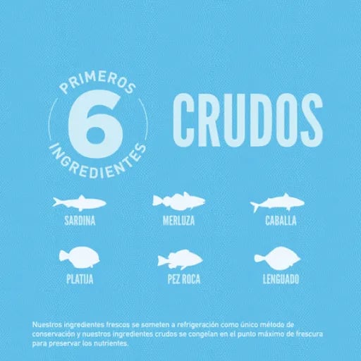 Dry 6 Fish Chat & Chaton - imagen 2 de 2