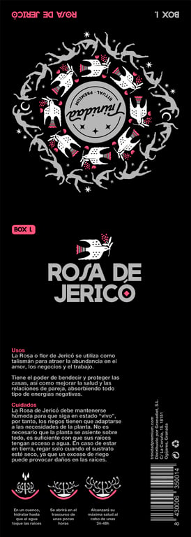 Jericho-Rose in Dose - imagen 4 de 5