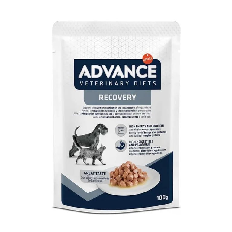 Nourriture Humide Chien Et Chat Recovery