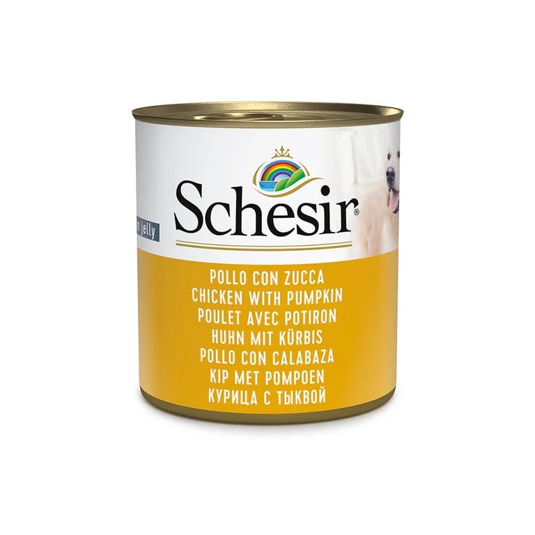 Boîte Poulet et Potiron pour Chien