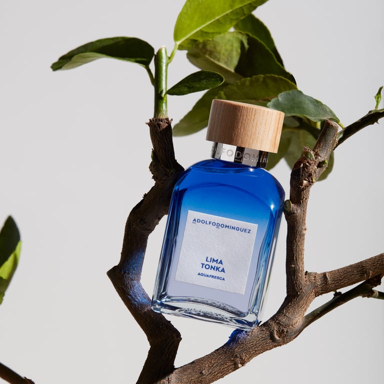 Agua Fresca Lima Tonka EDT 120 ml von Adolfo Dominguez