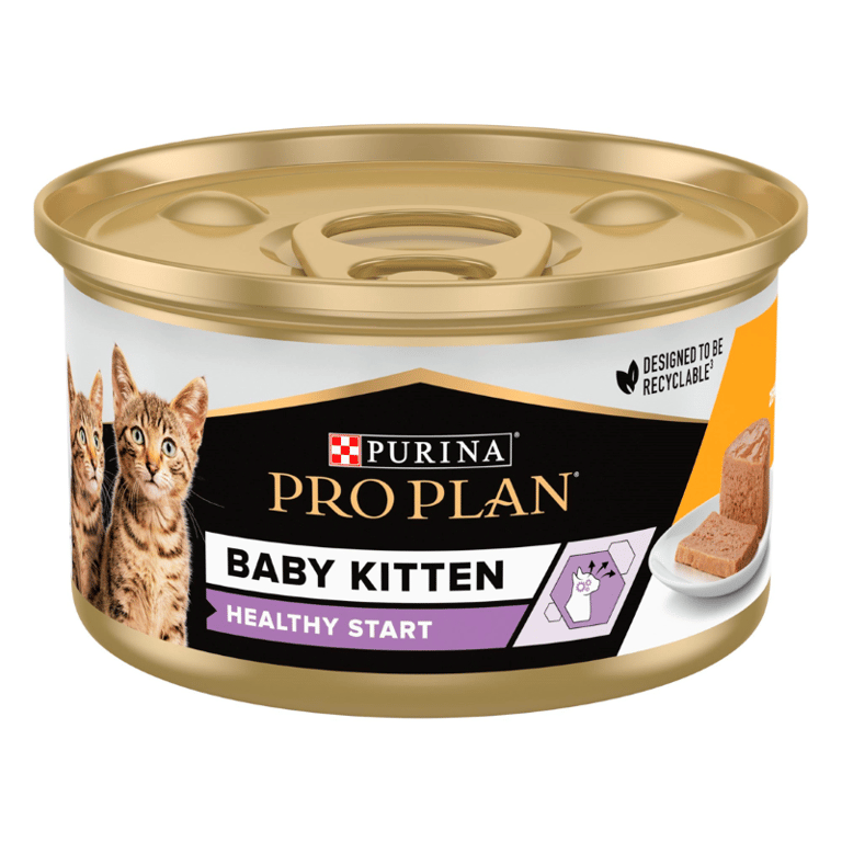 Cat Baby Kitten Mousse de Poulet