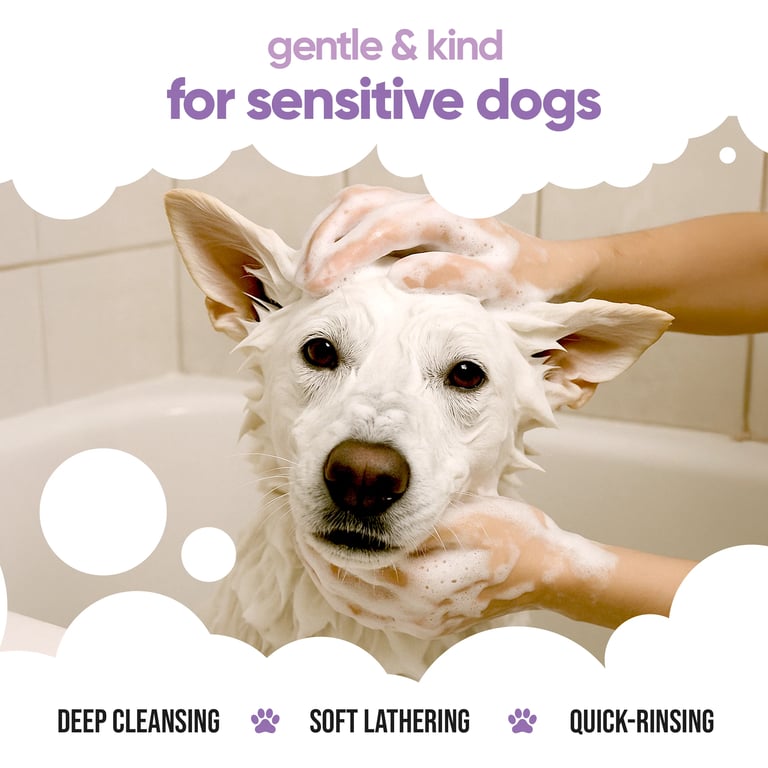 Shampooing Chiens Blancs - imagen 5 de 7