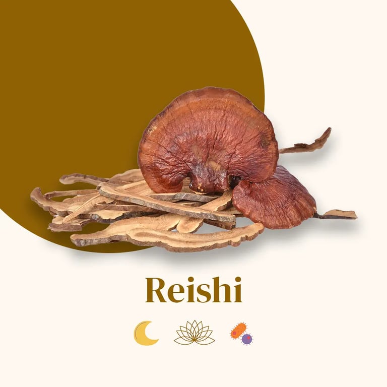 Extrait de Reishi Bio - imagen 4 de 6