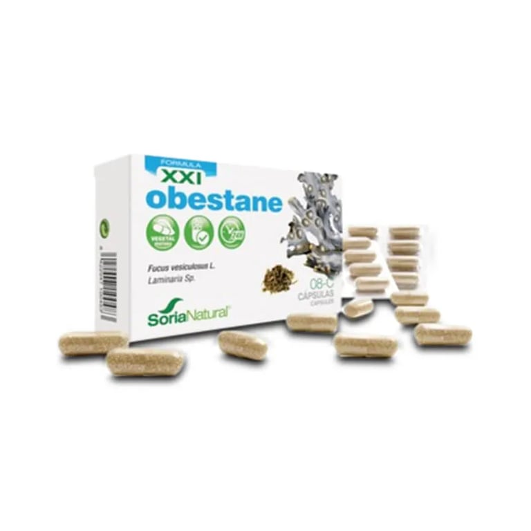 08-C Obestane Xxi
