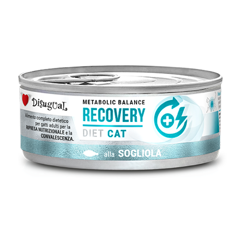 Cat Recovery de Lenguado