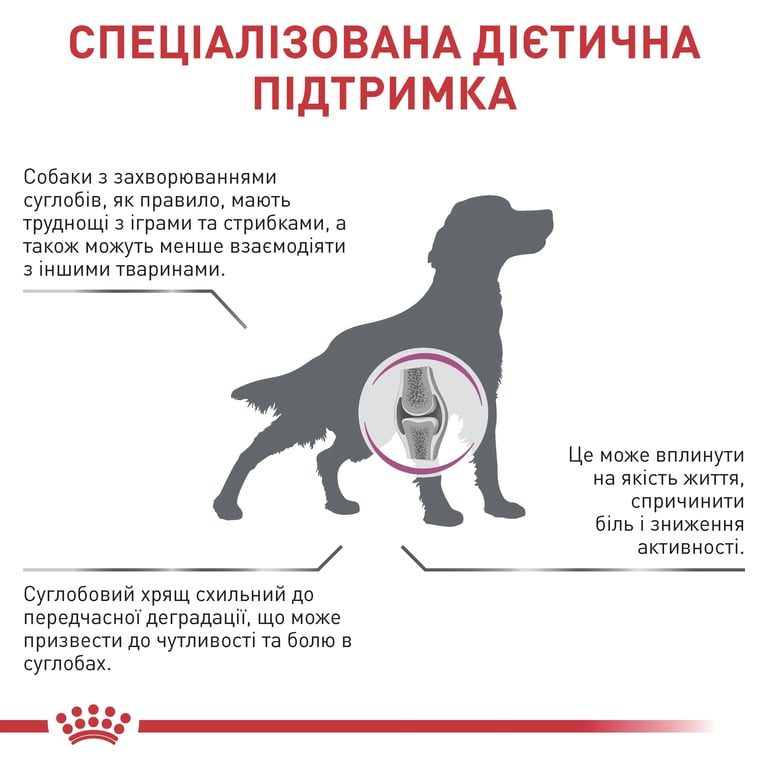 Support Mobilité Vétérinaire Chiens - imagen 13 de 14