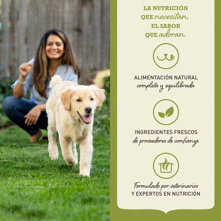 Wild Coast Hundefutter - imagen 11 de 11