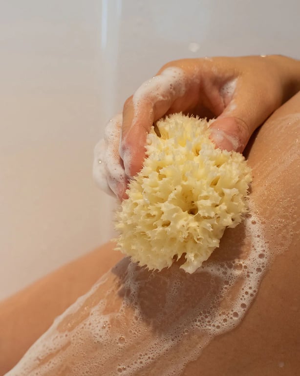 Esponja De Mar Natural Del Mediterraneo 10 cm     de Najjel