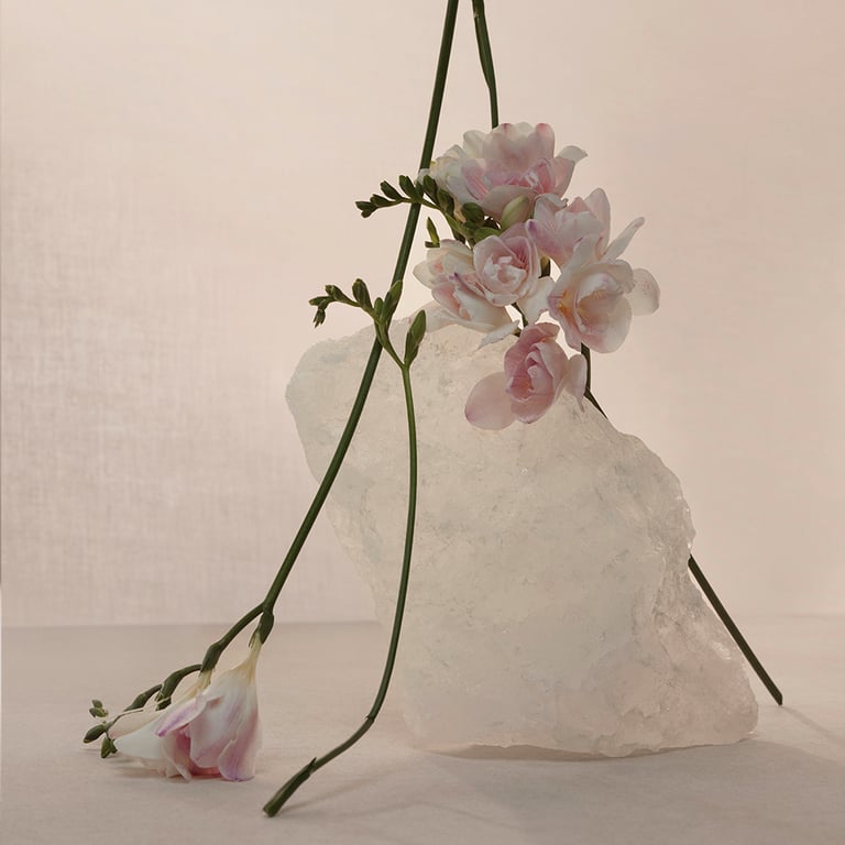 Nude Musk EDP 60 ml di Adolfo Dominguez