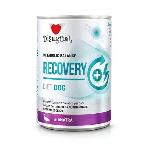 Dog Recovery Pato