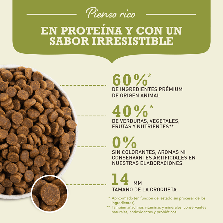 Adult Dog Hundefutter - imagen 5 de 10