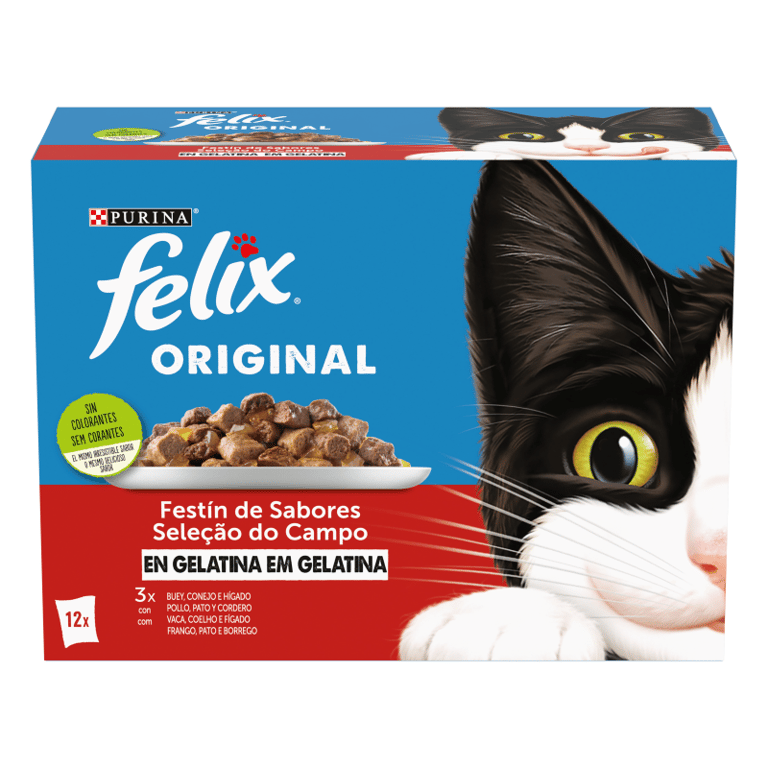 Festín de Sabores en Gelatina