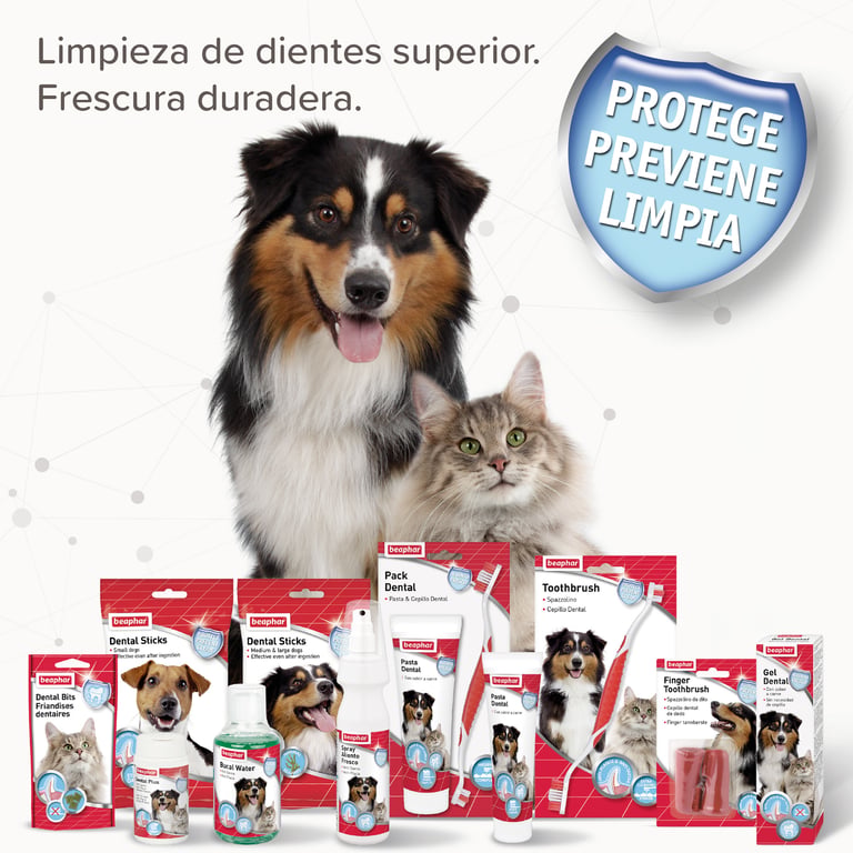 Sticks Dentales para Perros Pequeños - imagen 3 de 3