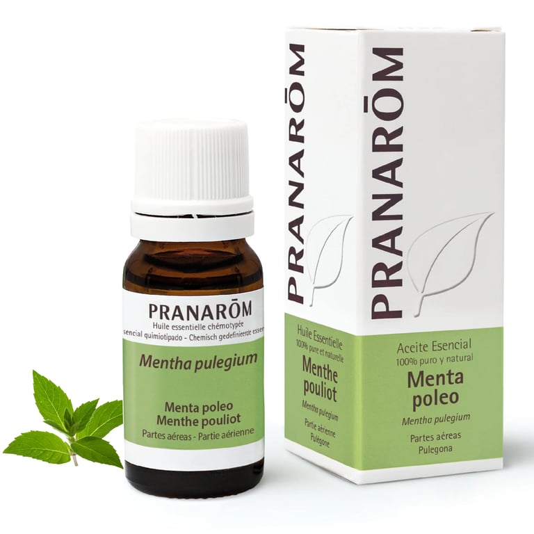 Huile Essentielle Menthe Pouliot