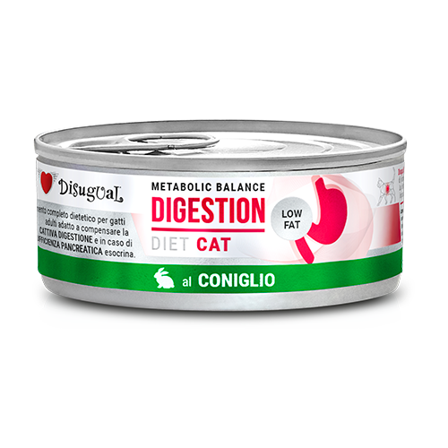 Low Fat Digestión Conejo