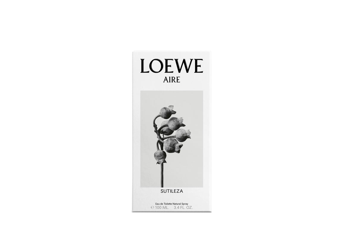 Aire Sutileza EDT 100 ml de Loewe