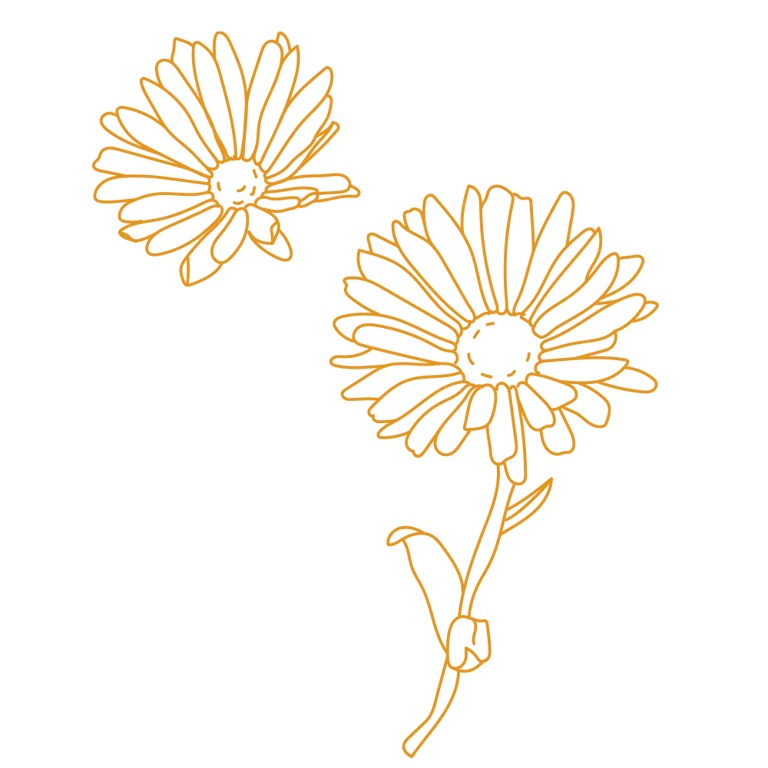 Calendula Snack - imagen 2 de 2
