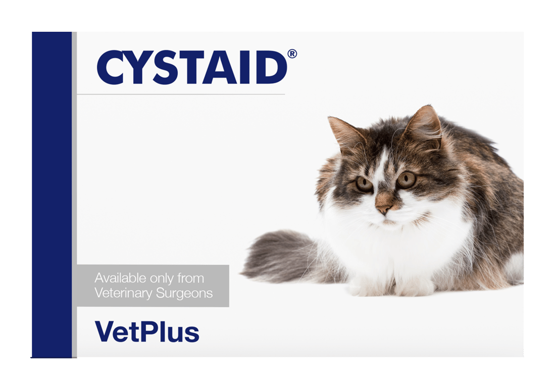 Cystaid Gato