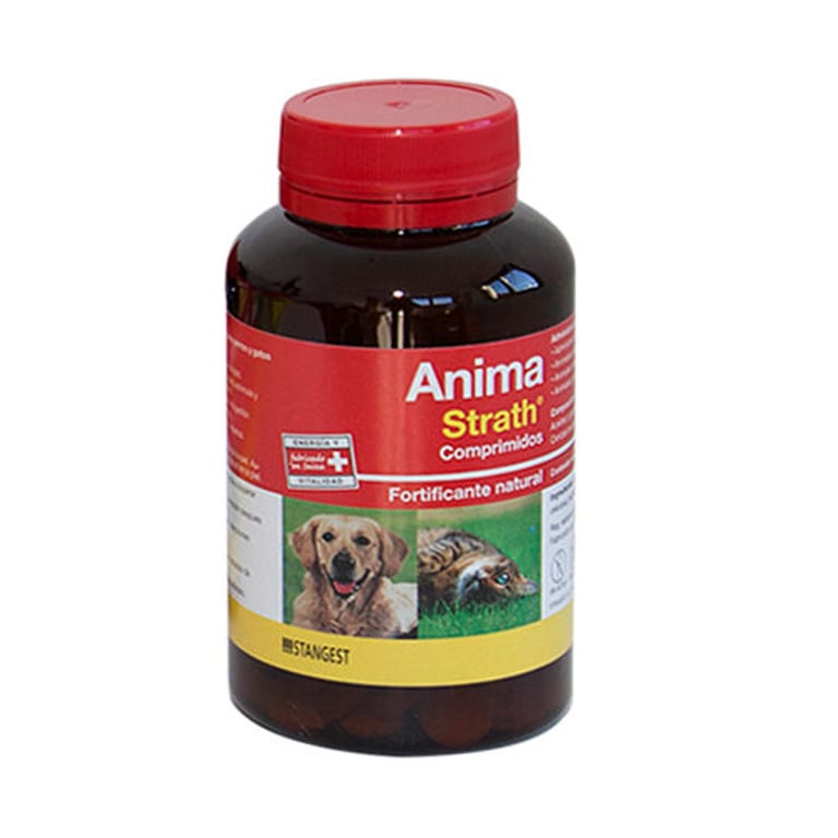 Anima Strath
