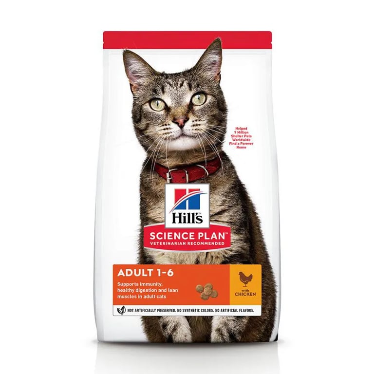 Katze Adult Huhn