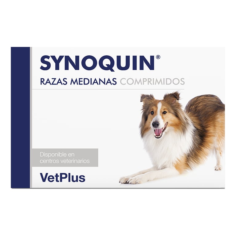 Synoquin Razas Medianas