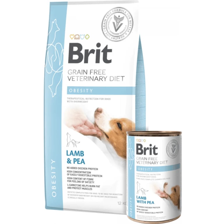 Veterinary Dog Obesity - imagen 2 de 2