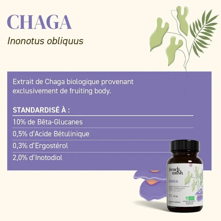 Extraits de Chaga Bio - imagen 4 de 6