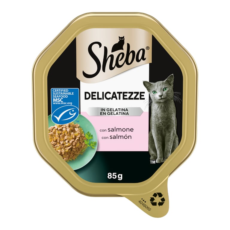 Delicatezze Salmón en Gelatina