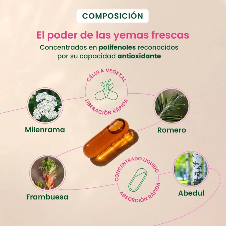 Gemmocaps Confort Premenstrual - imagen 4 de 6