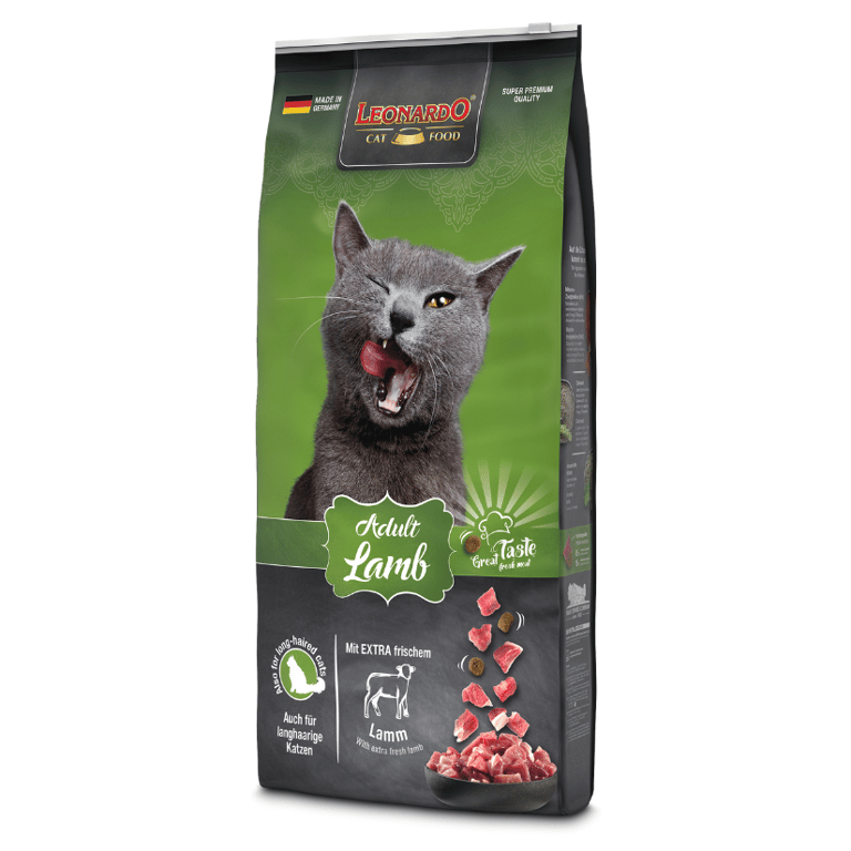 Feline Adult Cordero