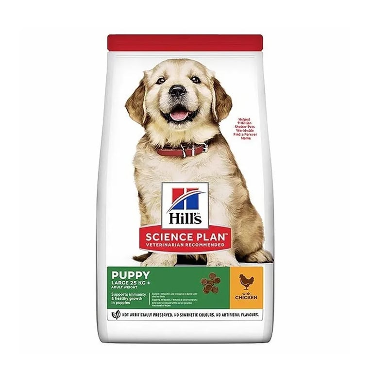 Perro Adulto Puppy Largo Pollo